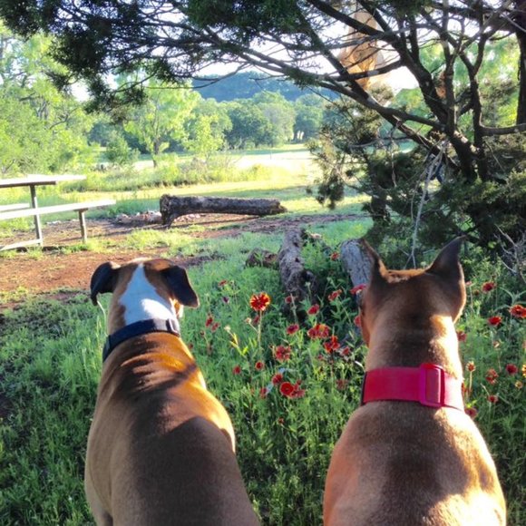 Meet your Posher, Shari - Picture 8 of 16